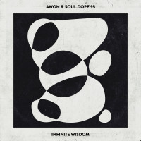 Awon and Soul.Dope.95 - Infinite Wisdom