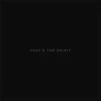 Bring Me The Horizon - That's The Spirit