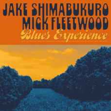 Jake Shimabukuro / Mick Fleetwood - Blues Experience