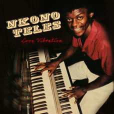Nkono Teles - Love Vibrations