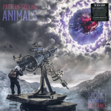 Pattern-Seeking Animals - Spooky Action At A Distance