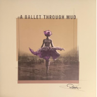 RZA - A Ballet Through Mud