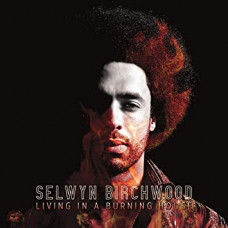 Selwyn Birchwood ‎- Living In A Burning House