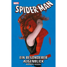 Joe Quesada - Spider-Man - Ein besonderer Augenblick