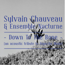 Sylvain Chauveau & Ensemble Nocturne - Down To The Bone