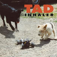 Tad - Inhaler