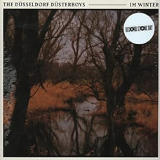 The Düsseldorf Düsterboys - Im Winter (10")