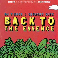 DJ T-Rock and Squashy Nice - Back To The Essence