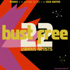 Various - Bust Free 22