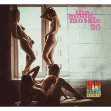 Various - The Mood Mosaic 20 - This is Hot New