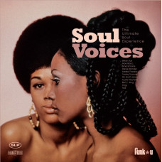 Various - Soul Voices